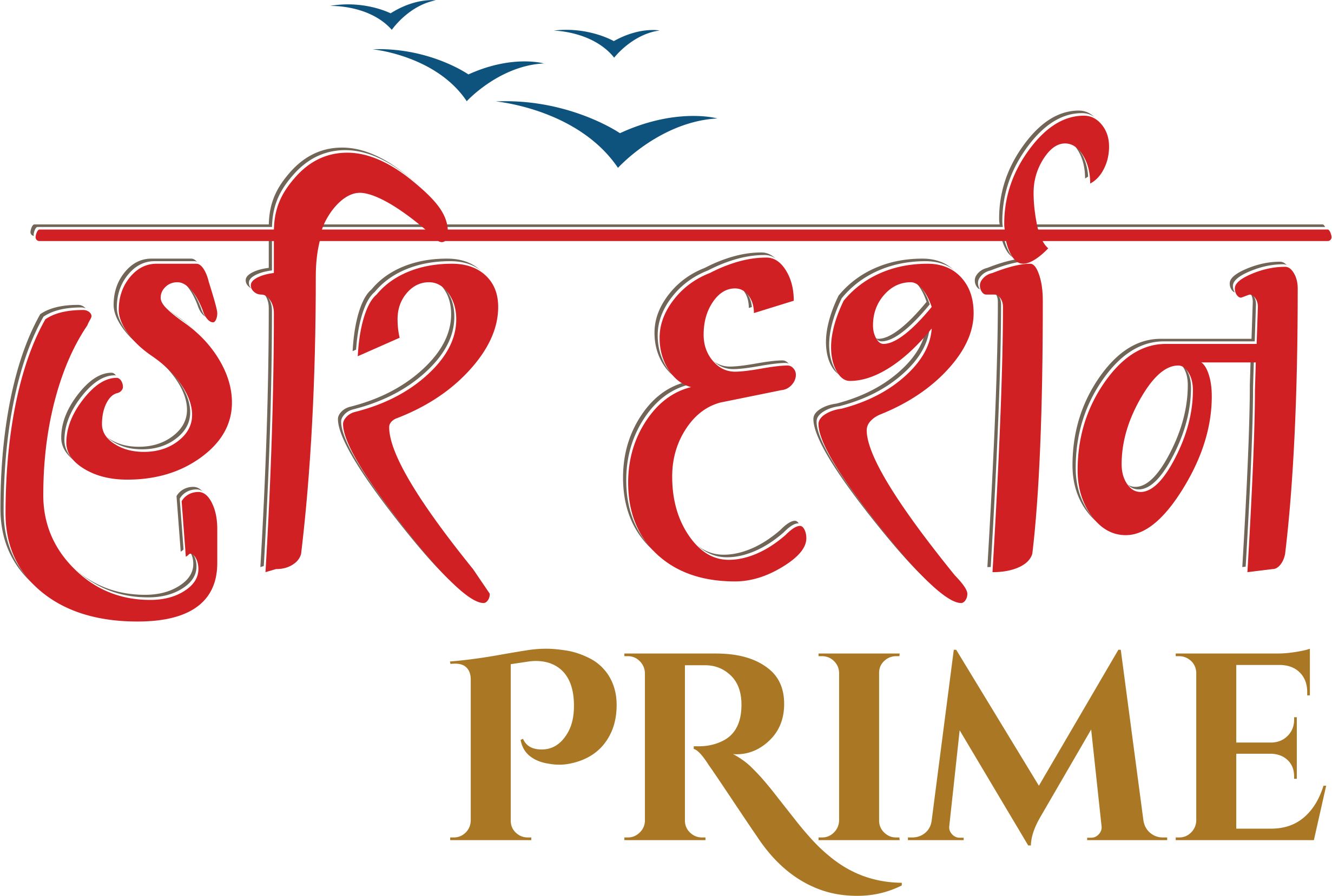 Logo of real estate project Hari Darshan Prime located at Chhani, Vadodara, Gujarat